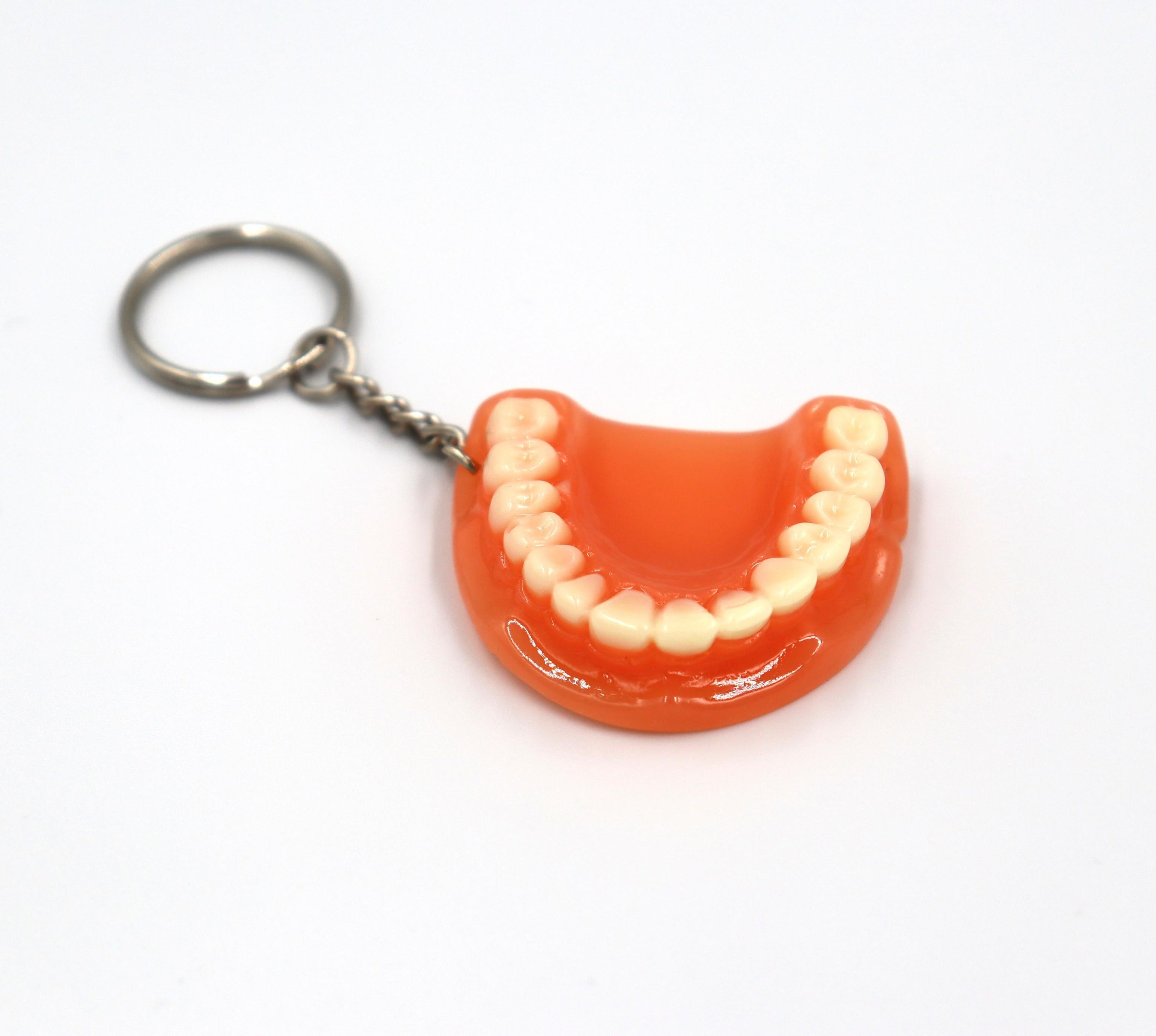 Keychain Dental Jaw