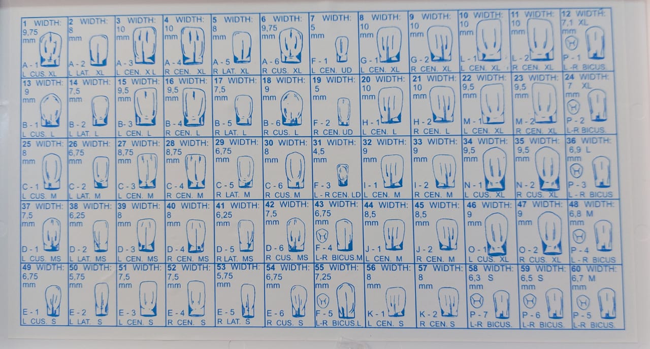 Transparent Peel Off Crown Forms Kit - 2x60 PCs