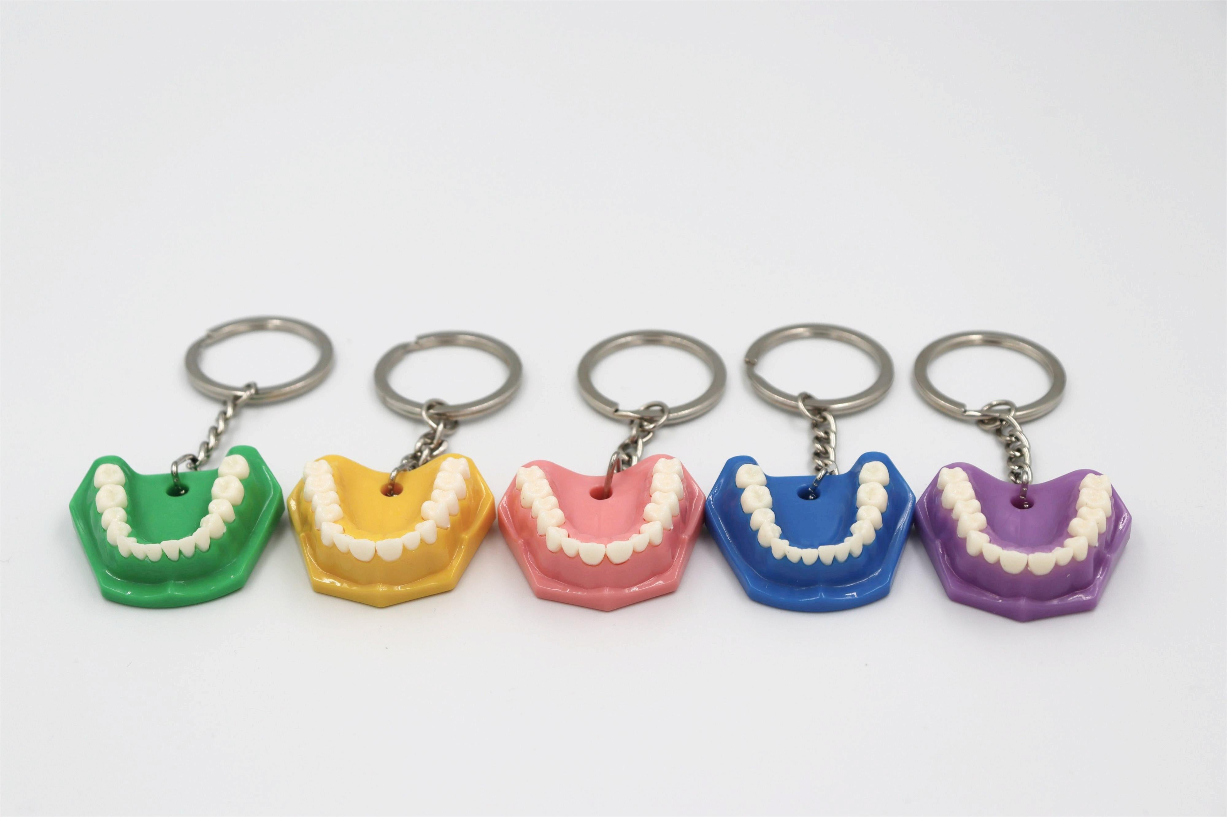 Keychain Dental Jaw