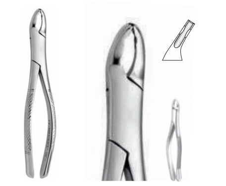 Tooth Forceps