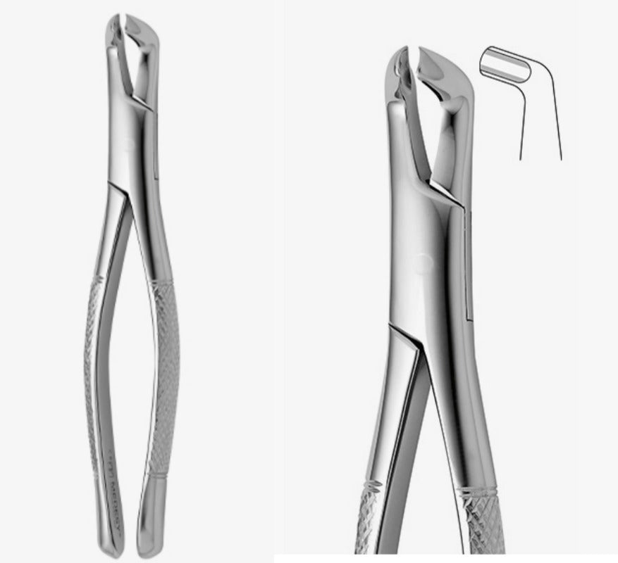 Tooth Forceps