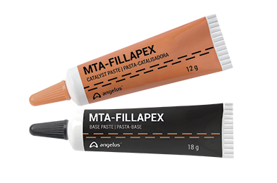 MTA-Fillapex Bioceramic root canal sealer